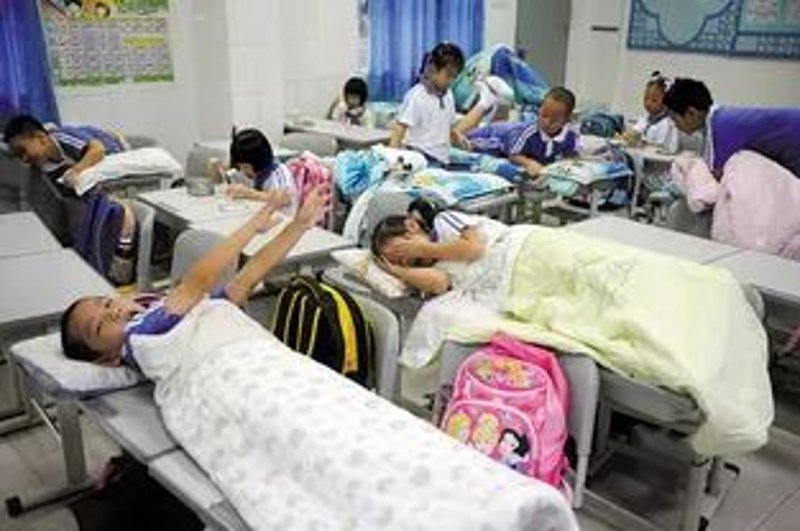 西乡塘区培训学校：教育新天地